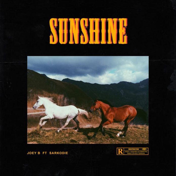 Joey B - Sunshine (Remix) ft Sarkodie