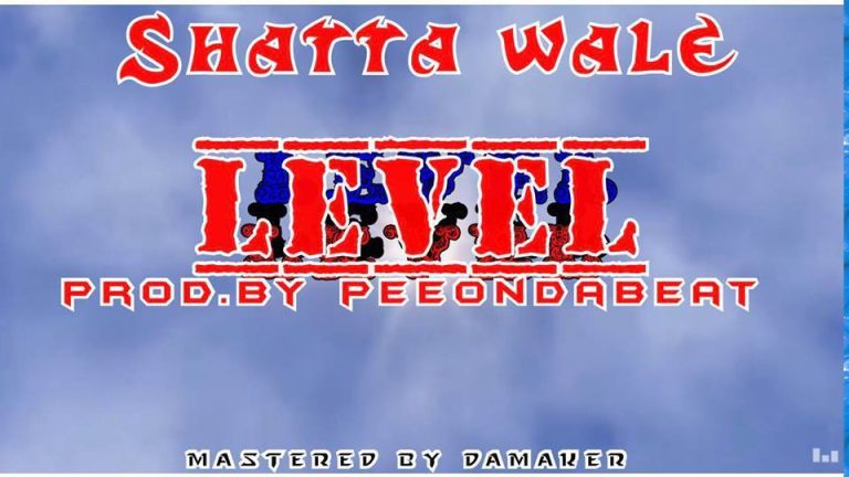 Shatta Wale - Level (Prod By Pee OnDaBeatz)
