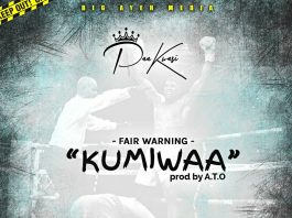 Paa Kwasi - Kumiwaa (Fair Warning) Kumi Guitar Diss (Prod By A.T.O)