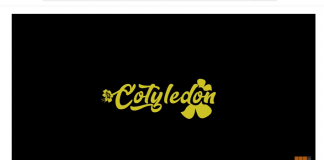 Itz Tiffany - Cotyledon Official Video