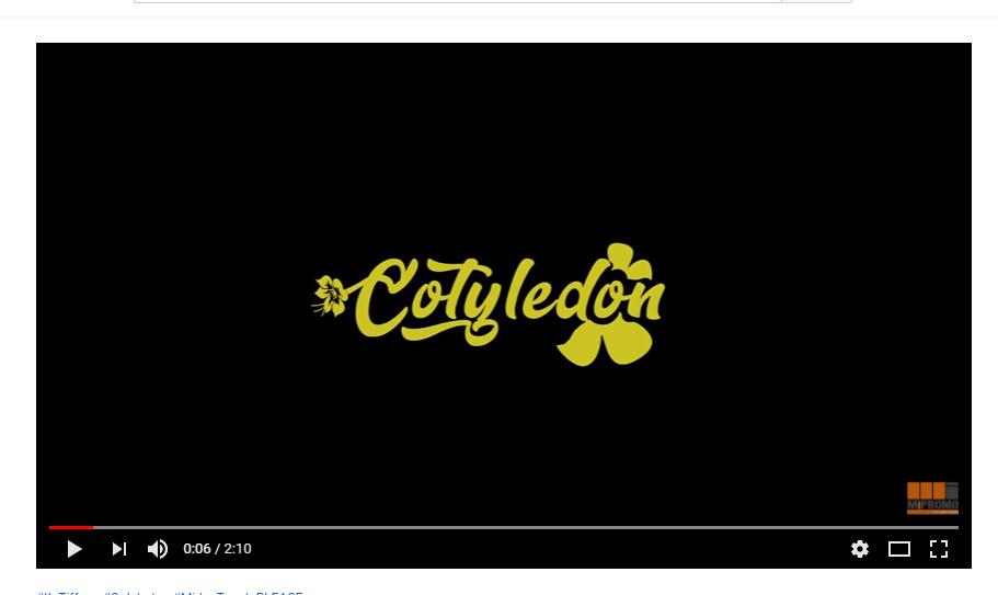 Itz Tiffany - Cotyledon Official Video