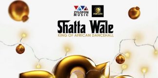 Shatta Wale - 2019