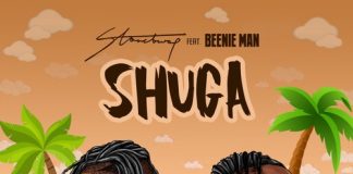 Stonebwoy ft. Beenie Man - Shuga