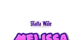 Shatta Wale - Melissa