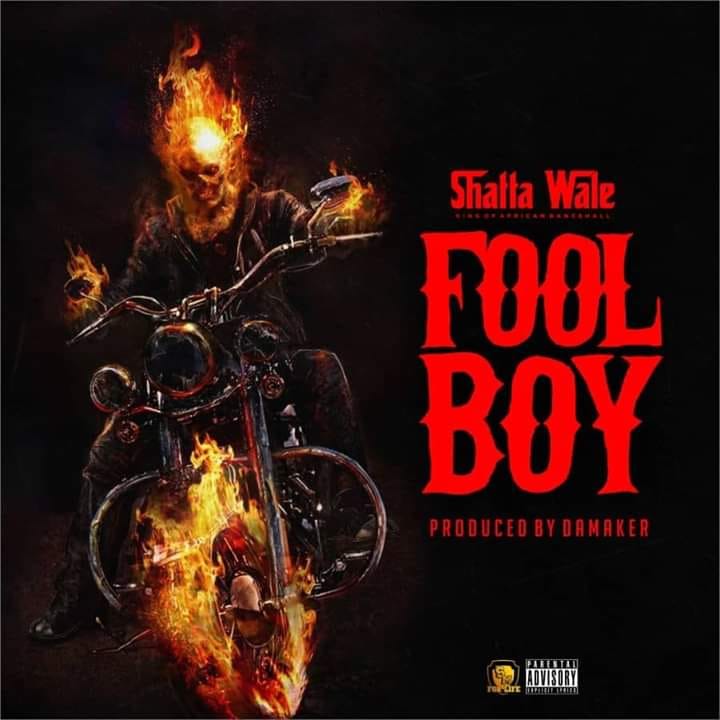 Shatta Wale – Fool Boy (Bufalo Diss)