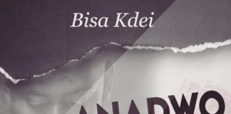 Bisa Kdei - Anadwo (Prod By Apya)