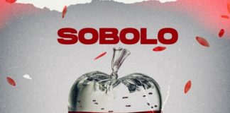 Stonebwoy - Sobolo