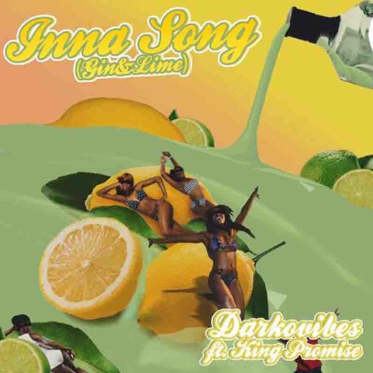 Darkovibes ft. King Promise – Inna Song Gin and Lime