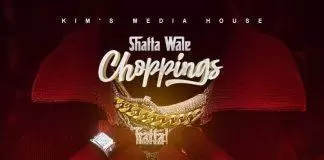 Shatta Wale - Choppings
