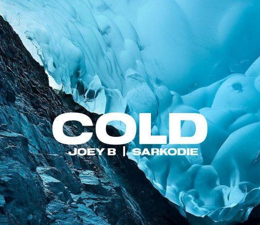 Joey B Ft. Sarkodie – Cold (Prod. By DJ Krept)