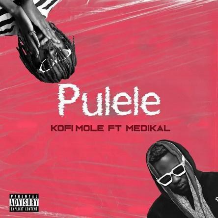 Kofi Mole Ft Medikal – Pulele