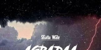Shatta Wale - Agradaa