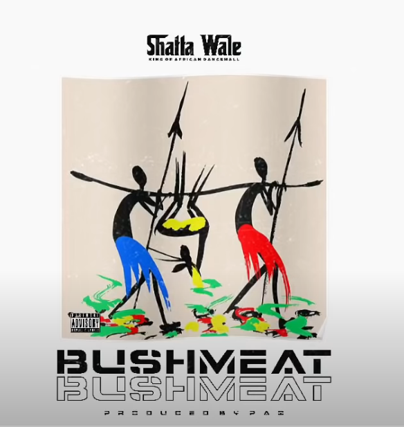 Shatta Wale - Bushmeat