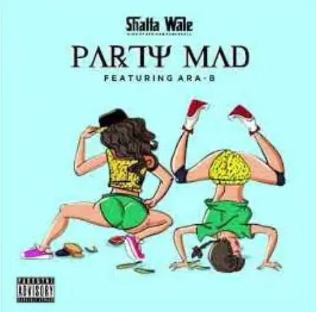 Shatta Wale x Ara-b - Party Mad