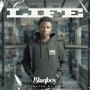 BlaqBoy - life