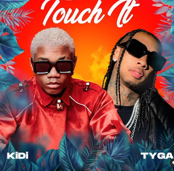 KiDi Touch It Remix MP3 Ft Tyga