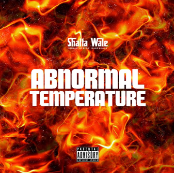 Shatta Wale Abnormal Temperature MP3