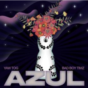 Yaw Tog - Azul MP3 & Lyrics Ft Bad Boy Timz