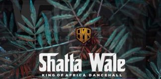 Shatta Wale - Shoulder