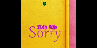 Shatta Wale - Sorry