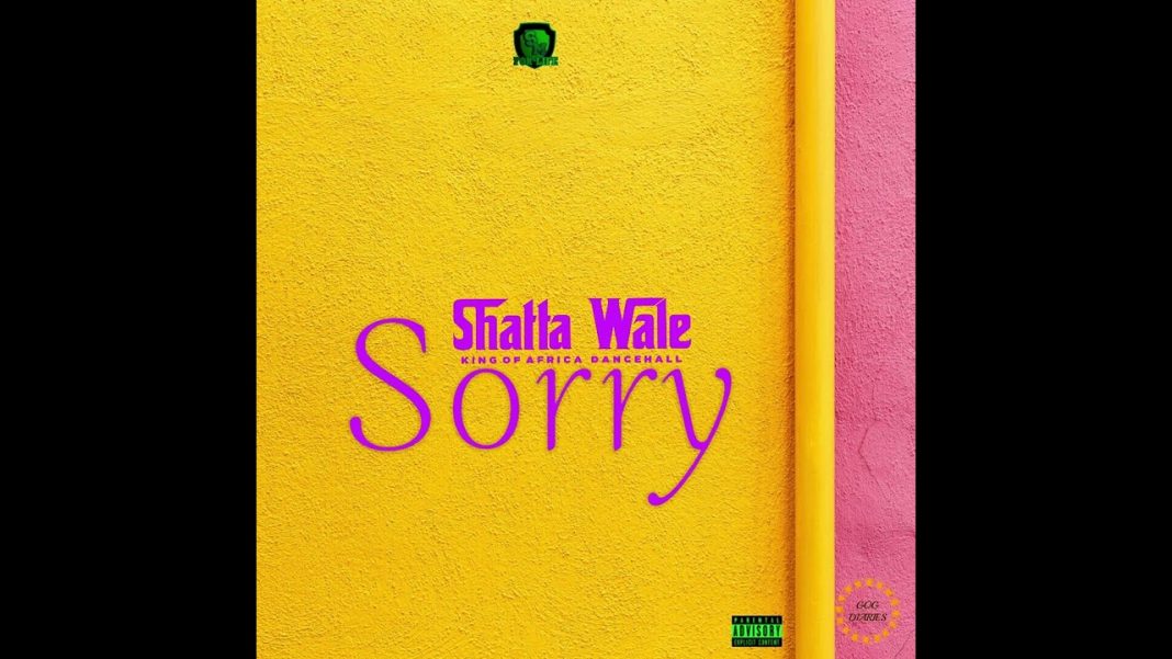 Shatta Wale - Sorry 