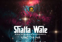 Shatta Wale - What The Fuck Do You Know About Me
