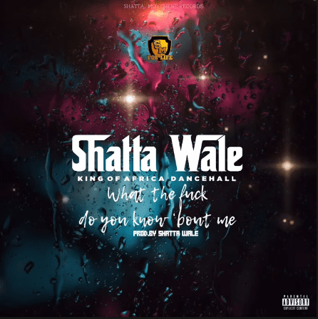 Shatta Wale - What The Fuck Do You Know About Me 