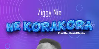 Zigi - Ne Korakora (Prod. By Gentle Maniac)