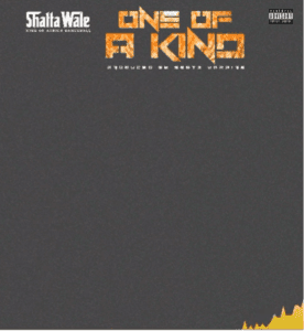 Shatta Wale - One Of A Kind
