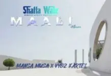 Shatta Wale - Mansa Musa