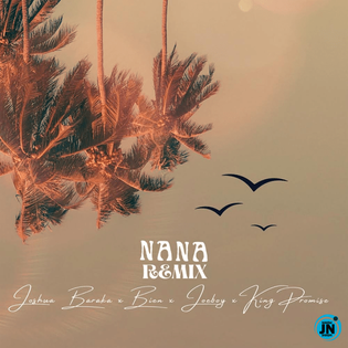 Joshua Baraka - NANA Remix (Feat. Joeboy, King Promise & BIEN)
