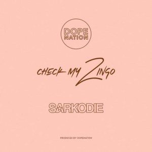 DopeNation ft Sarkodie - Check My Zingo (Remix)