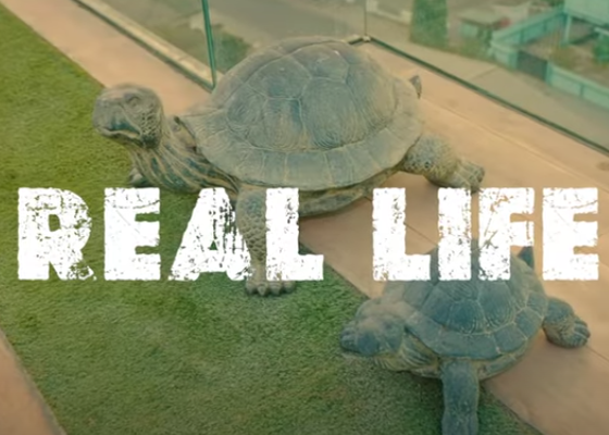 Shatta Wale - Real Life (Official Video)