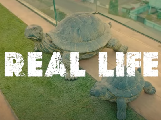 Shatta Wale - Real Life (Official Video)