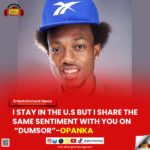 I stay in the U.S but I share the same sentiment with you on “Dumsor” - Opanka